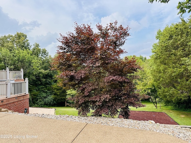 307 Lana Ln, Leitchfield, KY 42754 - photo 16