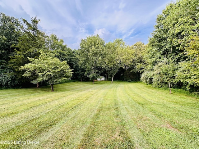 307 Lana Ln, Leitchfield, KY 42754 - photo 24