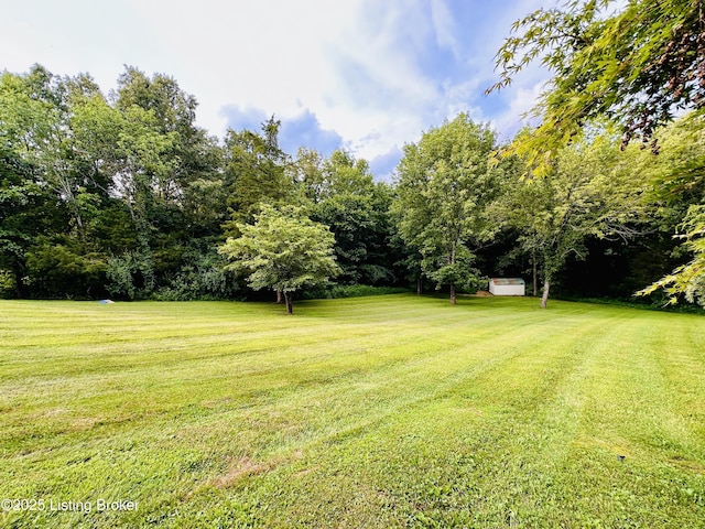 307 Lana Ln, Leitchfield, KY 42754 - photo 25