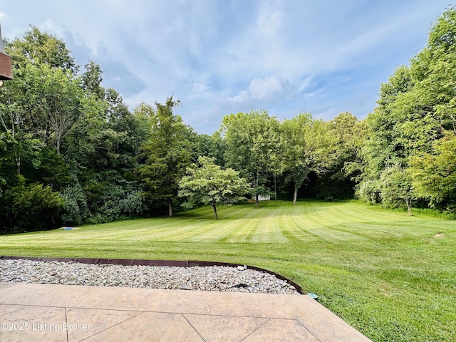 307 Lana Ln, Leitchfield, KY 42754 - photo 39