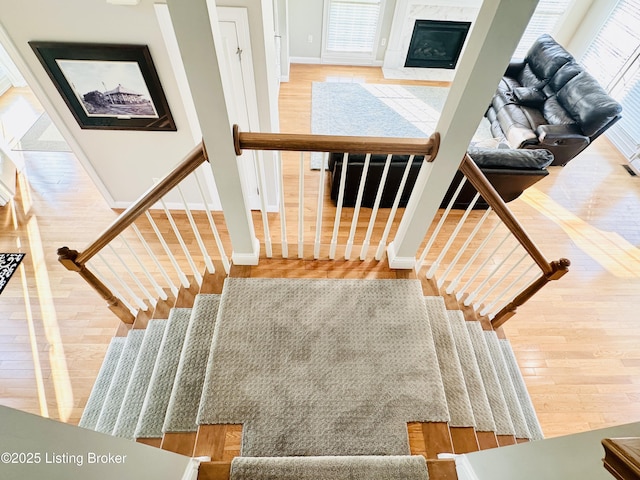 307 Lana Ln, Leitchfield, KY 42754 - photo 49