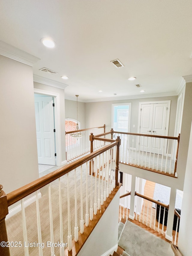 307 Lana Ln, Leitchfield, KY 42754 - photo 104