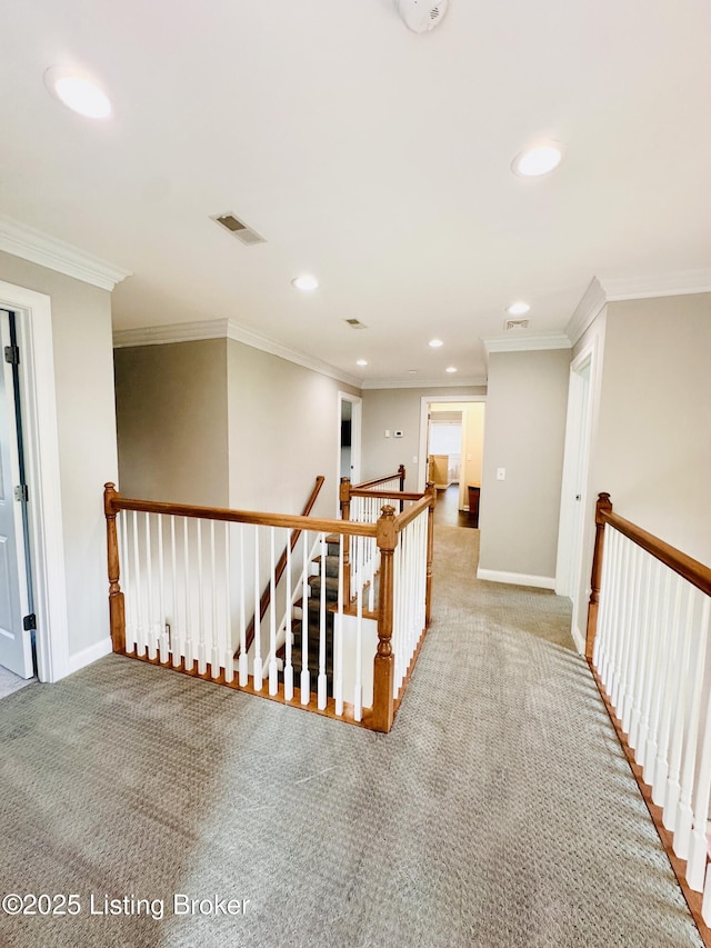 307 Lana Ln, Leitchfield, KY 42754 - photo 121