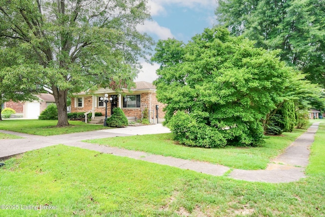 2414 Lorene Ave, Louisville, KY 40216 - photo 2