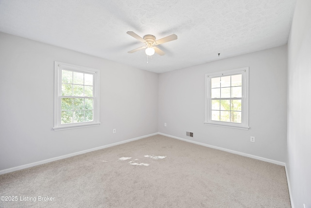 263 Hampton Rd, Brandenburg, KY 40108 - photo 14