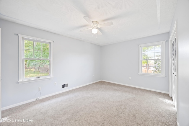263 Hampton Rd, Brandenburg, KY 40108 - photo 13