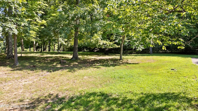 263 Hampton Rd, Brandenburg, KY 40108 - photo 28