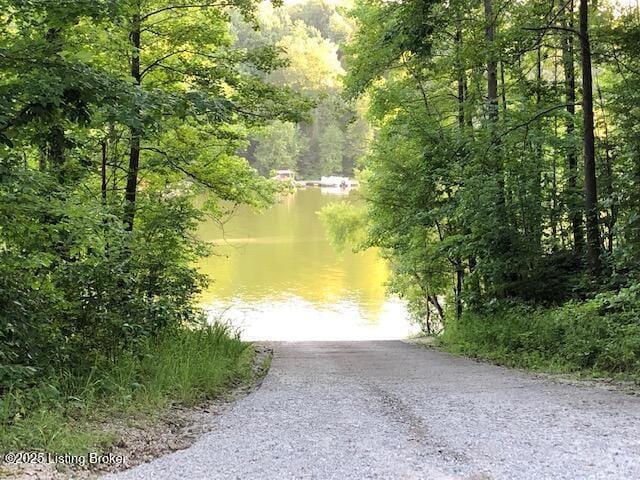 0 Trailwoods Dr, Leitchfield, KY 42754 - photo 3