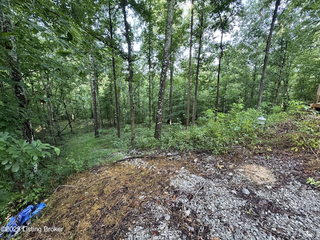 0 Trailwoods Dr, Leitchfield, KY 42754 - photo 9