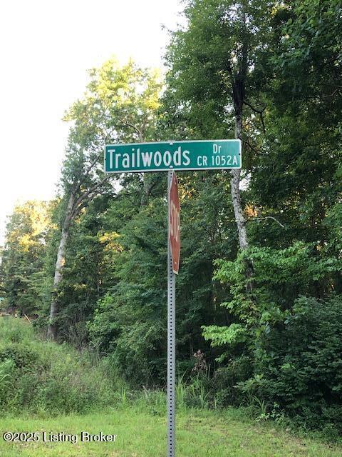 0 Trailwoods Dr, Leitchfield, KY 42754 - photo 26