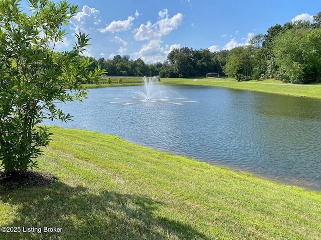 137 Charleston Way, Elizabethtown, KY 42701 - photo 62