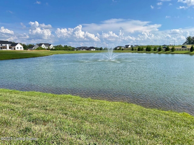 137 Charleston Way, Elizabethtown, KY 42701 - photo 63