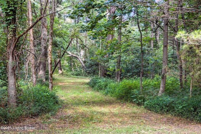 LOTS7A Stewart Ln, La Grange, KY 40031 - photo 4
