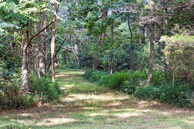 LOTS7A Stewart Ln, La Grange, KY 40031 - photo 5