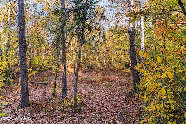 LOTS7A Stewart Ln, La Grange, KY 40031 - photo 22