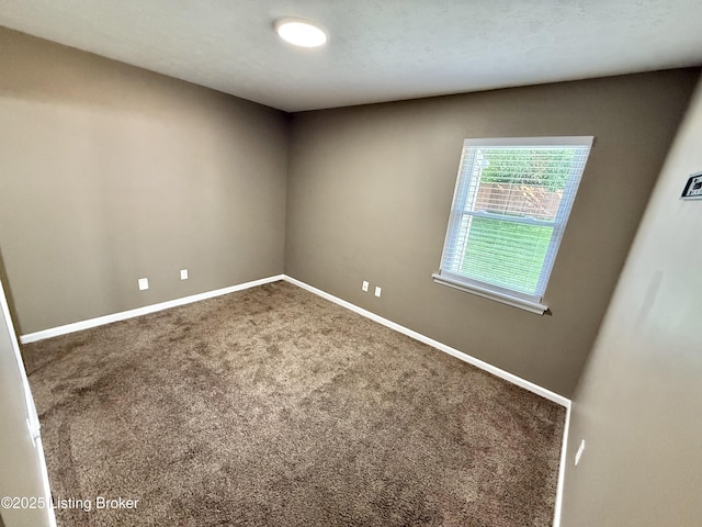 5915 Toebbe Ln, Louisville, KY 40229 - photo 16