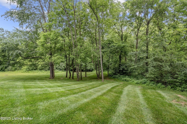 1701 Sylvan Cir, Goshen, KY 40026 - photo 64