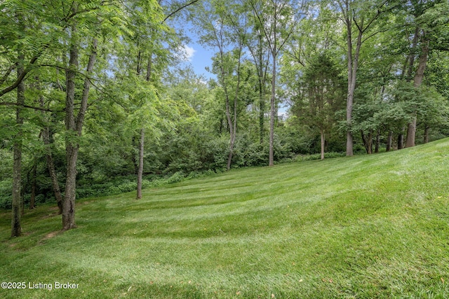 1701 Sylvan Cir, Goshen, KY 40026 - photo 65