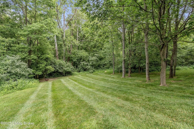 1701 Sylvan Cir, Goshen, KY 40026 - photo 66