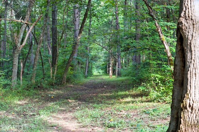 4180 Stewart Ln, La Grange, KY 40031 - photo 20