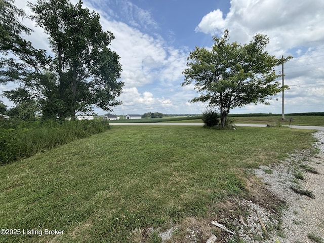 2565 Rabbit Run Rd, Vine Grove, KY 40175 - photo 3