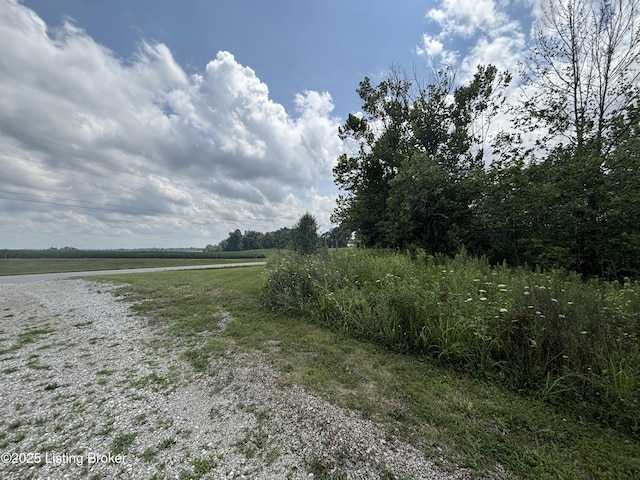 2565 Rabbit Run Rd, Vine Grove, KY 40175 - photo 4