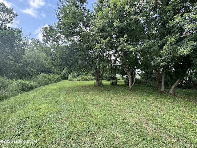 2565 Rabbit Run Rd, Vine Grove, KY 40175 - photo 5