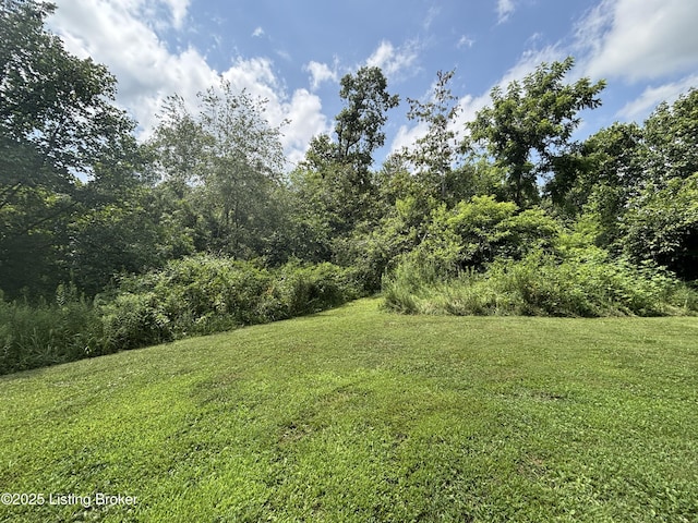 2565 Rabbit Run Rd, Vine Grove, KY 40175 - photo 7