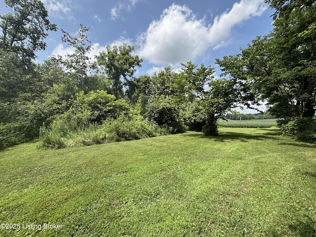 2565 Rabbit Run Rd, Vine Grove, KY 40175 - photo 8