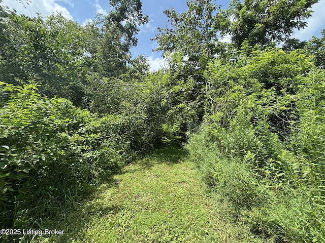 2565 Rabbit Run Rd, Vine Grove, KY 40175 - photo 9