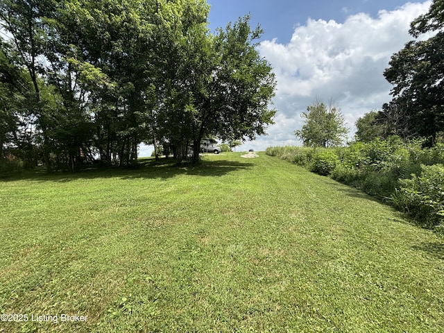2565 Rabbit Run Rd, Vine Grove, KY 40175 - photo 10