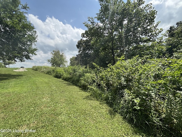 2565 Rabbit Run Rd, Vine Grove, KY 40175 - photo 11