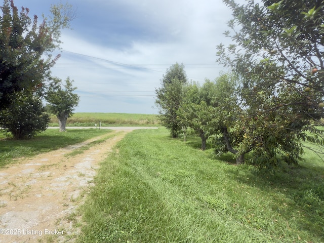 3445 US Highway 227, Worthville, KY 41098 - photo 3