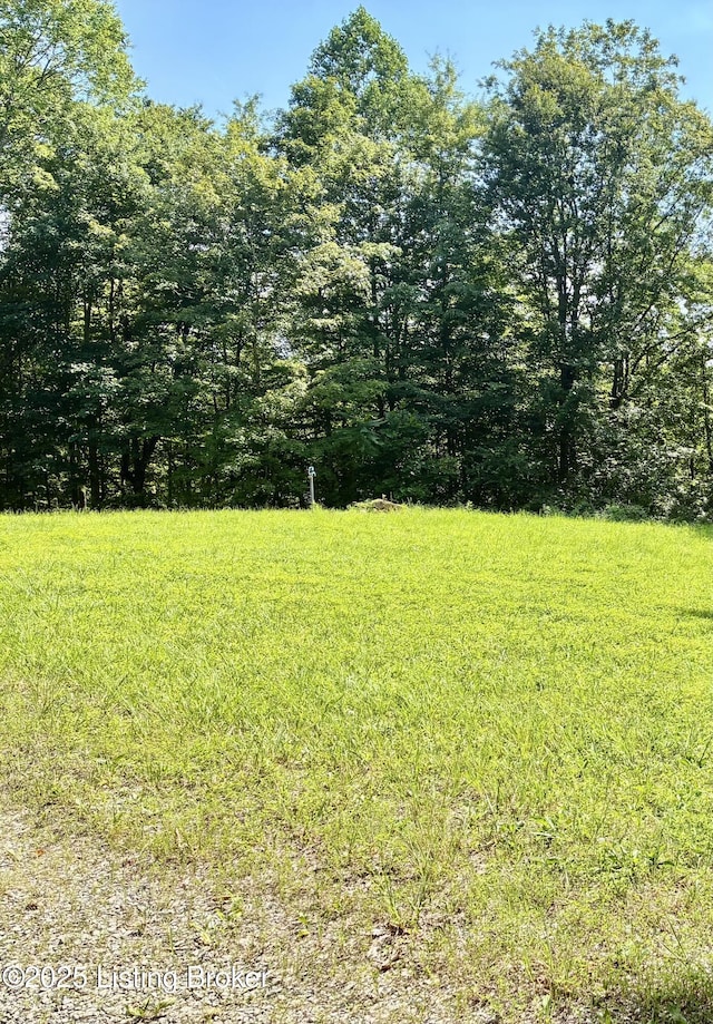 LOT23 Hogback Rd, Albany, KY 42602 - photo 4