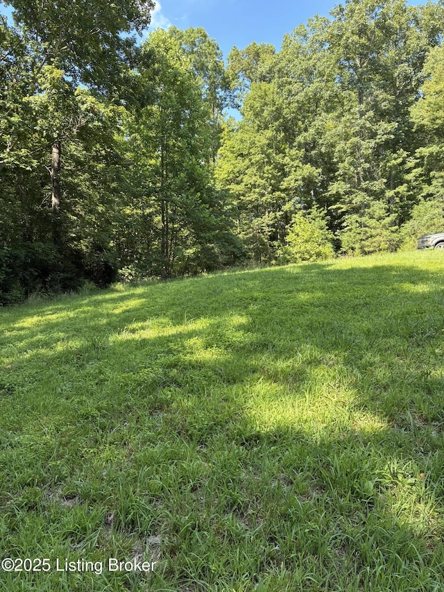 LOT23 Hogback Rd, Albany, KY 42602 - photo 2
