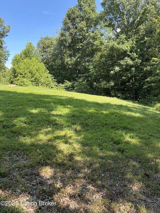 LOT23 Hogback Rd, Albany, KY 42602 - photo 3