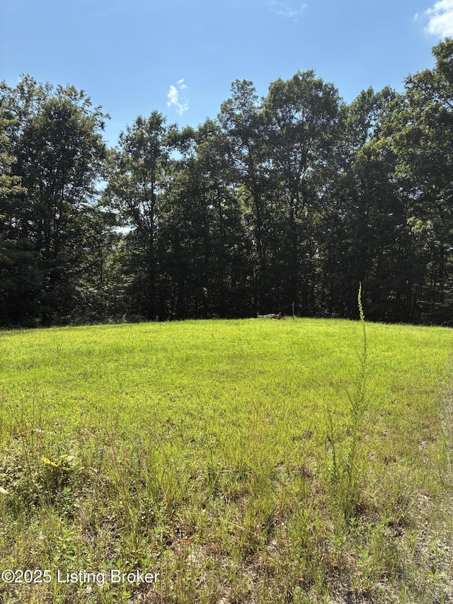 LOT23 Hogback Rd, Albany, KY 42602 - photo 5