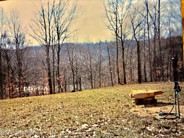 LOT23 Hogback Rd, Albany, KY 42602 - photo 7