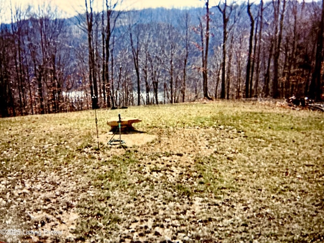 LOT23 Hogback Rd, Albany, KY 42602 - photo 9