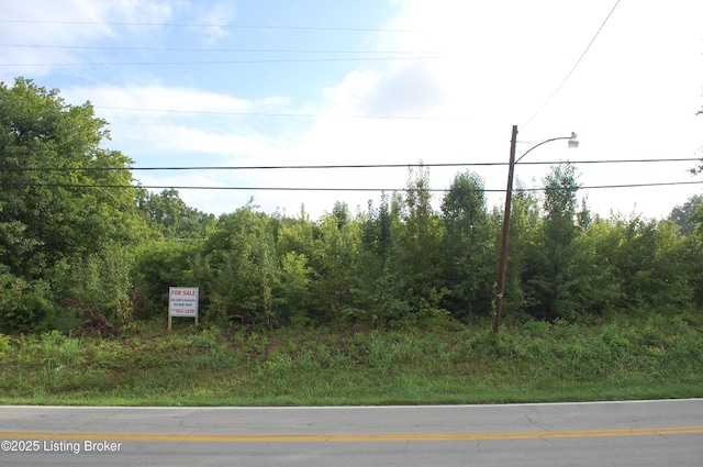 6305 Camp Ground Rd, Louisville, KY 40216 - photo 1