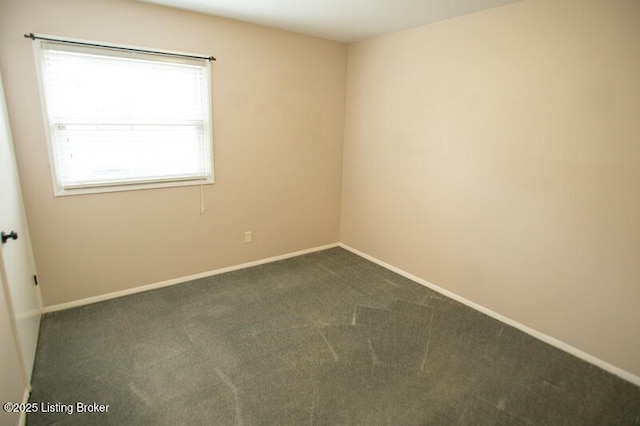 9415 Galene Dr, Louisville, KY 40299 - photo 19