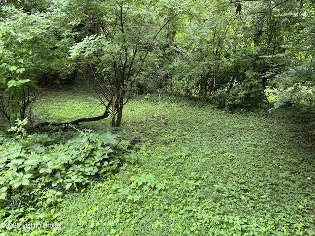 403 Maple Ct, La Grange, KY 40031 - photo 22