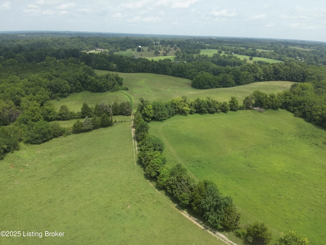 1462 Mobley Mill Rd, Coxs Creek, KY 40013 - photo 3
