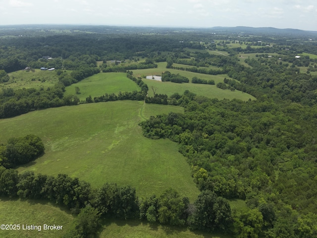 1462 Mobley Mill Rd, Coxs Creek, KY 40013 - photo 5