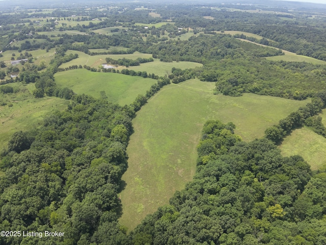 1462 Mobley Mill Rd, Coxs Creek, KY 40013 - photo 6