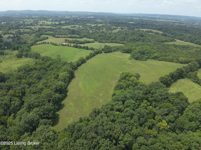 1462 Mobley Mill Rd, Coxs Creek, KY 40013 - photo 10
