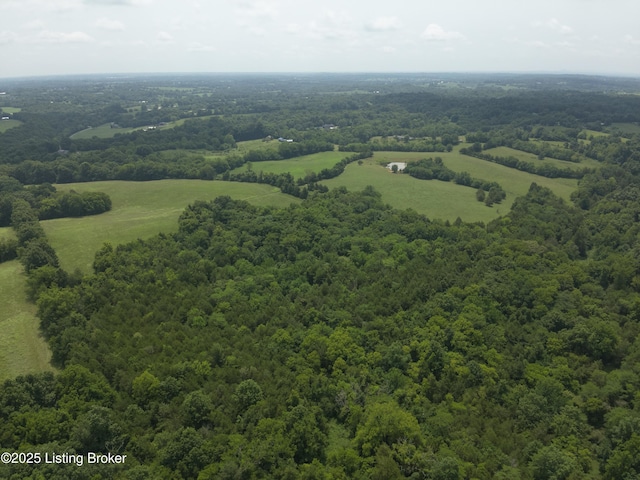 1462 Mobley Mill Rd, Coxs Creek, KY 40013 - photo 11