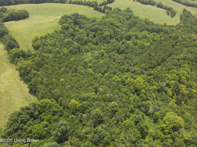 1462 Mobley Mill Rd, Coxs Creek, KY 40013 - photo 17