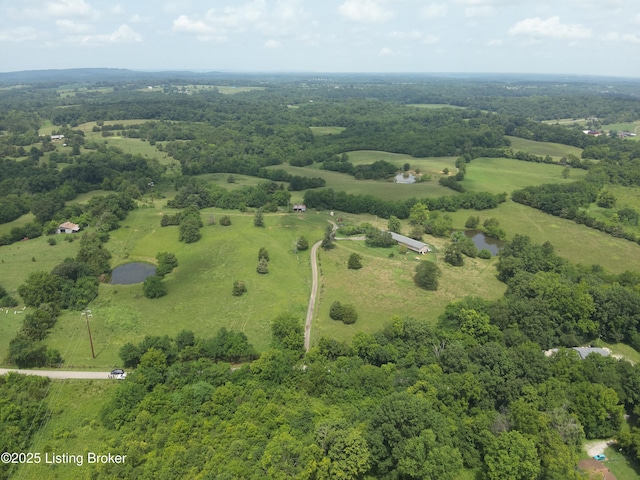 1462 Mobley Mill Rd, Coxs Creek, KY 40013 - photo 19