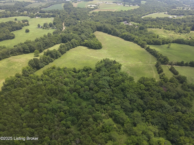 1462 Mobley Mill Rd, Coxs Creek, KY 40013 - photo 22